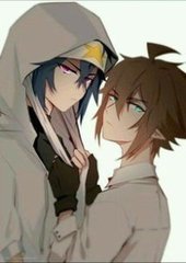 猫咪最新官网入口